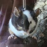 Eileen 🐹🐥 - @eileen_bergener - Instagram