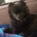 Eileen Bergeron - Facebook