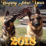 Eileen Berlin - Facebook