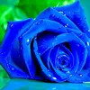 Eileen Berry - @eileen.berry3 - TikTok