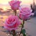 Ailyn Barde - Facebook