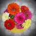 Bettie Eileen - Facebook