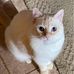 Eileen Bertie - Facebook