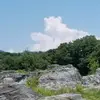 EileenBest - @wmurpfynahs - TikTok