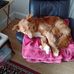 Eileen Berridge - Facebook