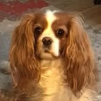 Eileen Bevis - Facebook