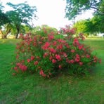 Aileen Birk - Facebook