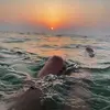 eileenbirkenmeyer5 - @eileenbirkenmeyer5 - TikTok