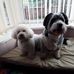 Eileen Blackburn - Facebook