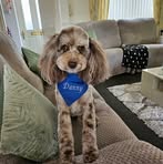 Eileen Blades - Facebook