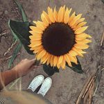 E I L E E N 🌻 - @eileen_blanco15 - Instagram