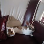 Eileen paulina Blandon morales - @eileenpaulinablandonmorales - Instagram