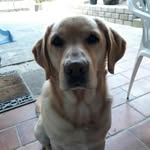 Eileen Blanke - @eileen.blanke - Instagram