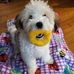 Eileen Blauvelt - Facebook