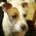 Eileen Blauvelt - Facebook