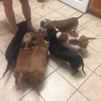 Eileen Blevins - Facebook