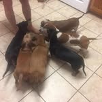 Eileen Blevins - @eileen.blevins.77 - Instagram