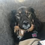 Eileen Blodgett - @mommadoe1 - Instagram