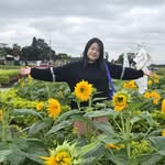 Eileen Ho - @blossomwitheileen - Instagram