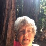 Eileen Blumenthal - @eileen_blumenthal7363 - Instagram