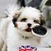 Eileen Bonner - Facebook