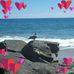 Eileen Bossie - Facebook