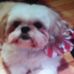 Eileen Bourque - Facebook
