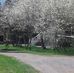 Eileen Bourque - Facebook