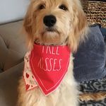 Eileen Bowe - @ebo1006 - Instagram