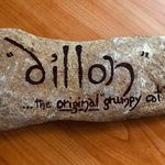 Eileen Bray - @dillons_just_chillin - Instagram