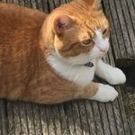 Eileen Britton - @eileen2332 - Instagram