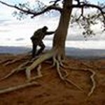 Eileen Brophy-Mazurski - @highviewstudio - Instagram
