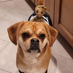 Eileen Cameron - @skyleen_55 - Instagram