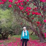 Eileen Cameron - @eileen.cameron.545402 - Instagram