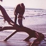 Eileen Cameron - @ecamnz - Instagram