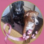 Eileen Cameron-Cowburn - @cameroncowburn - Instagram