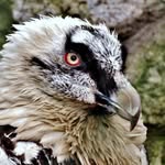 eileen cantrell - @eileencantrell9 - Instagram