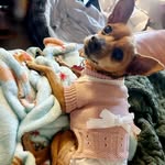 Eileen Grace Cardenas - @eileen_grace114 - Instagram
