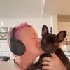 Eileen727 - @eileencarnegie1 - TikTok