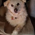 Eileen Carolan - @eileen.carolan.12 - Instagram