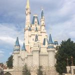 Eileen Carolan - @eileencarolan9774 - Instagram