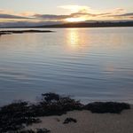 Eileen Carolan - @eileen_carolan - Instagram