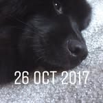 Eileen Castleton - @eileencastleton - Instagram