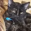 EILEEN CERDA ARAVENA - @eileen45866 - TikTok