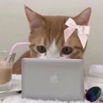 Eileen Cerný - @cernyeileen - Instagram