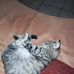 Alain Chabot - Facebook