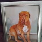 Aileen Chalmers - Facebook
