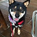 Eileen Chao - @eileenchao0524 - Instagram