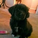 Eileen Charles - @eileen.charles11 - Instagram