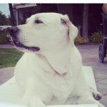 Eileen Hatfield - @mommahatfieldaz - Instagram